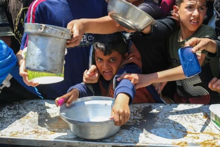 113-منظمة-تدعو-مجلس-الأمن-لفرض-عقوبات-على-إسرائيل