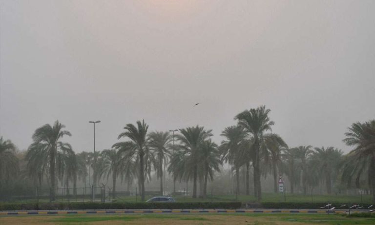 الأرصاد-الجوية:-البلاد-تشهد-رياحا-نشطة-وقوية-أحيانا-تقل-معها-الرؤية-على-بعض-المناطق