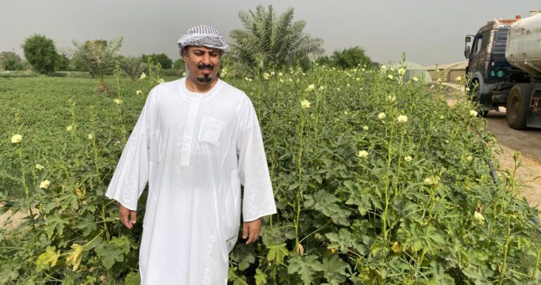 اللافي:-في-التصنيع-الغذائي-فائدة-للمزارع-وللمستهلك