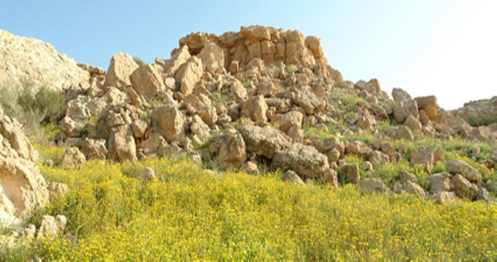 السياحة-البيئية-فرصة-ذهبية-للكويت-لدخول-دائرة-الاقتصاد-الأخضر