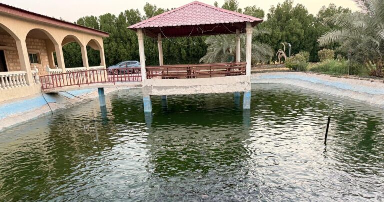 بركة-سمك-في-كل-مزرعة