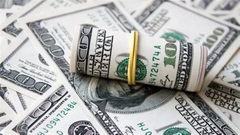 الدولار-الأميركي-يستقر-عند-مستوى-0305-دينار-واليورو-عند-0.355