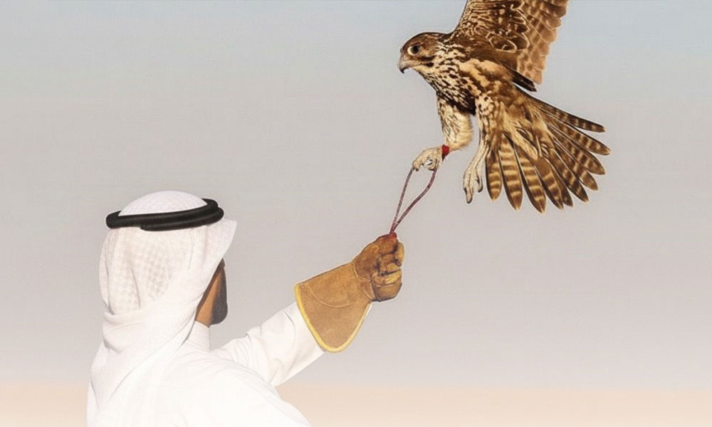 وزارة-الداخلية-تحذر-من-الدخول-أو-الصيد-أو-التجول-في-المحميات-الطبيعية-بالبلاد