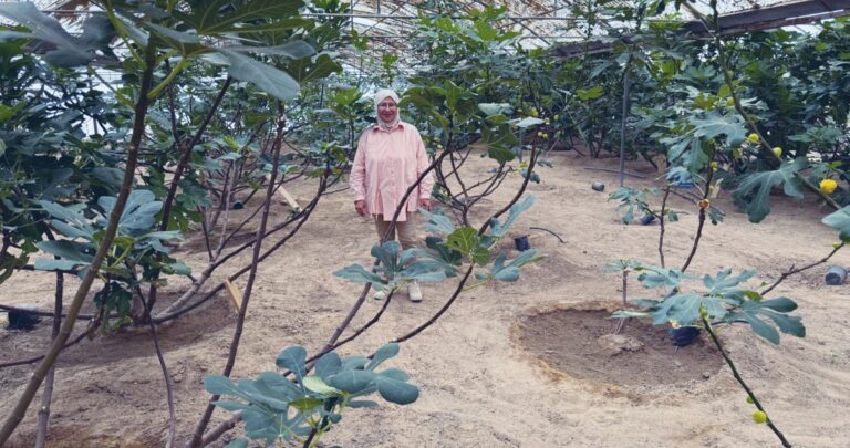 أخت-المزارعين-'أم-براك'-نموذج-رائع-للمزارعة-الكويتية