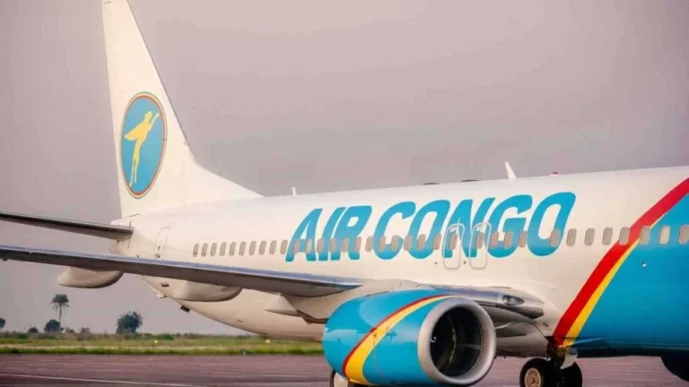 على-متنها-وزير-المعادن.-تحطم-طائرة-في-الكونغو-الديمقراطية