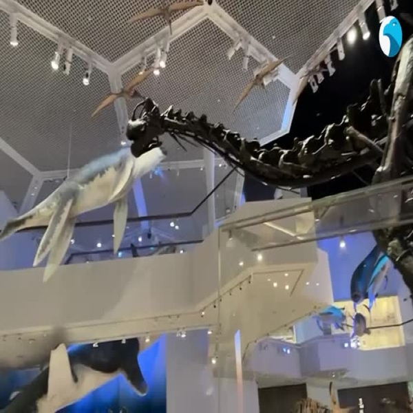 أبوظبي-تفتتح-متحف-التاريخ-الطبيعي