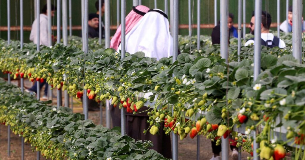 الفريح:-أزمة-عالمية-بالغذاء-في-حال-استمرار-الحرب