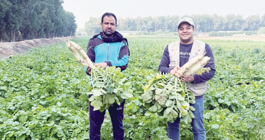 أحمد-زيدان:-البذور-المهجّنة…-أولى-خطوات-الإنتاج-المتميز