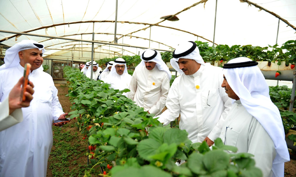 محافظ-الأحمدي-يتفقد-منطقة-الوفرة-الزراعية-ويؤكد-الحرص-على-تذليل-العقبات-أمام-المزارعين