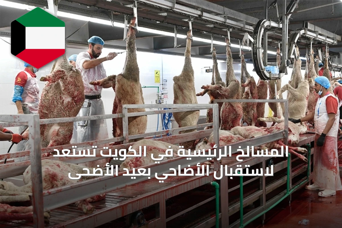 المسالخ الرئيسية في الكويت تستعد لاستقبال الأضاحي بعيد الأضحى