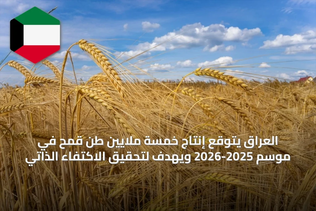 العراق يتوقع إنتاج خمسة ملايين طن قمح في موسم 2025-2026 ويهدف لتحقيق الاكتفاء الذاتي