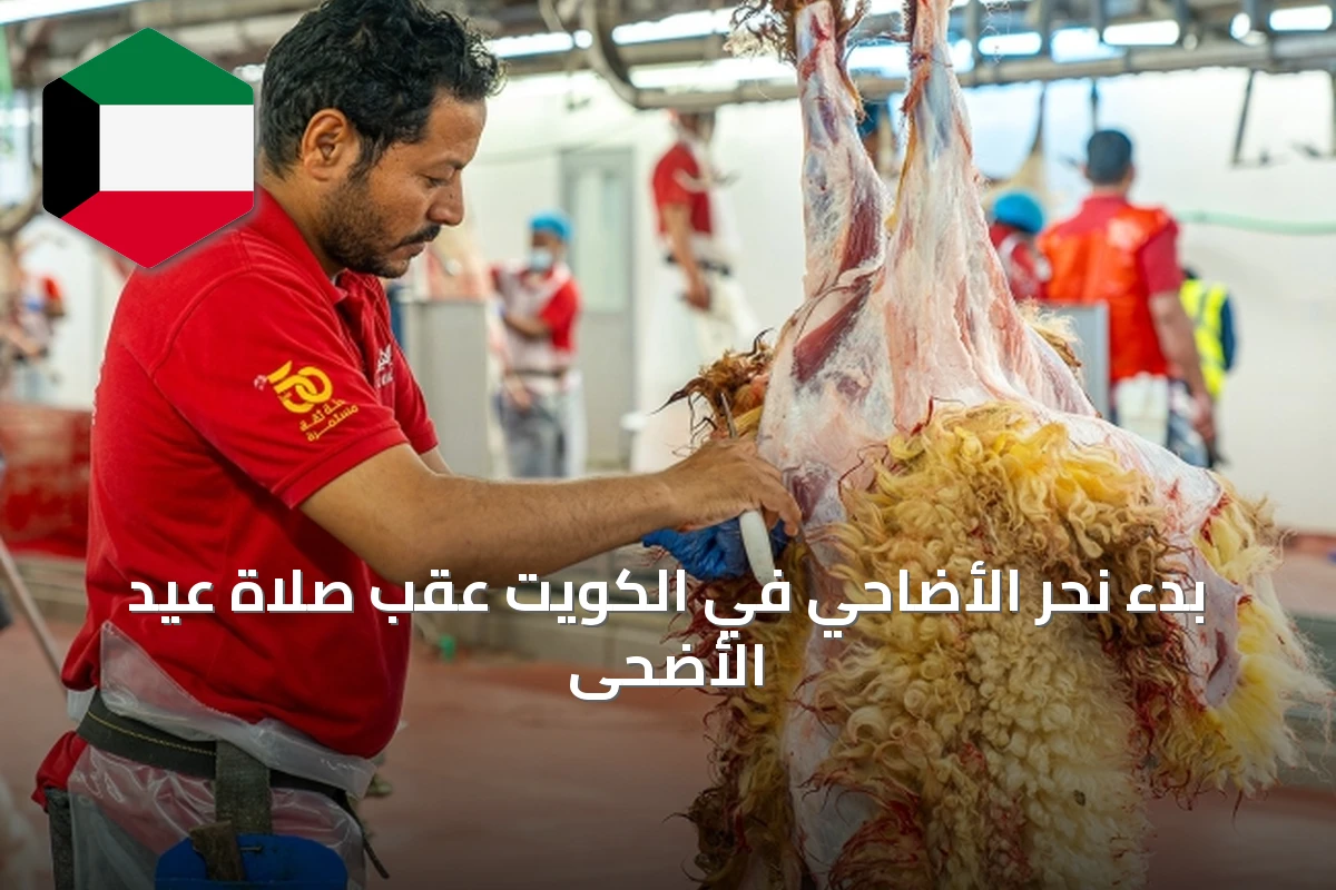 بدء نحر الأضاحي في الكويت عقب صلاة عيد الأضحى
