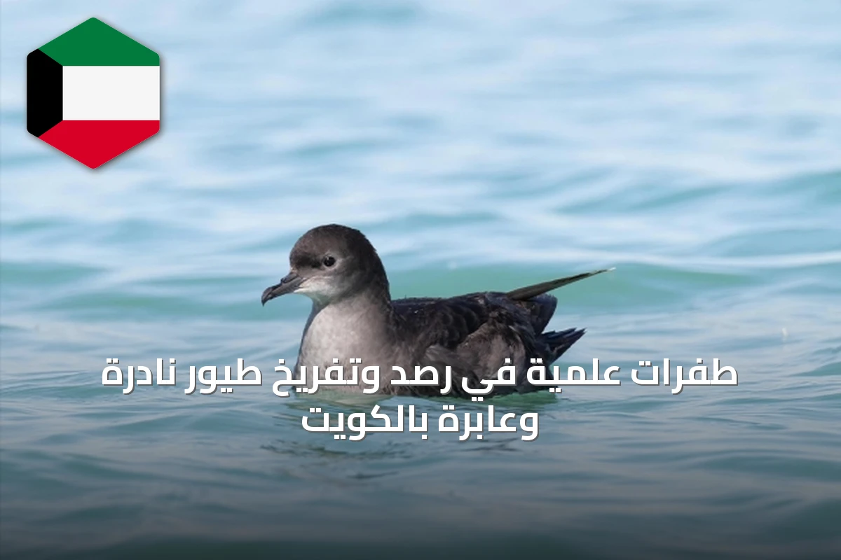 طفرات علمية في رصد وتفريخ طيور نادرة وعابرة بالكويت