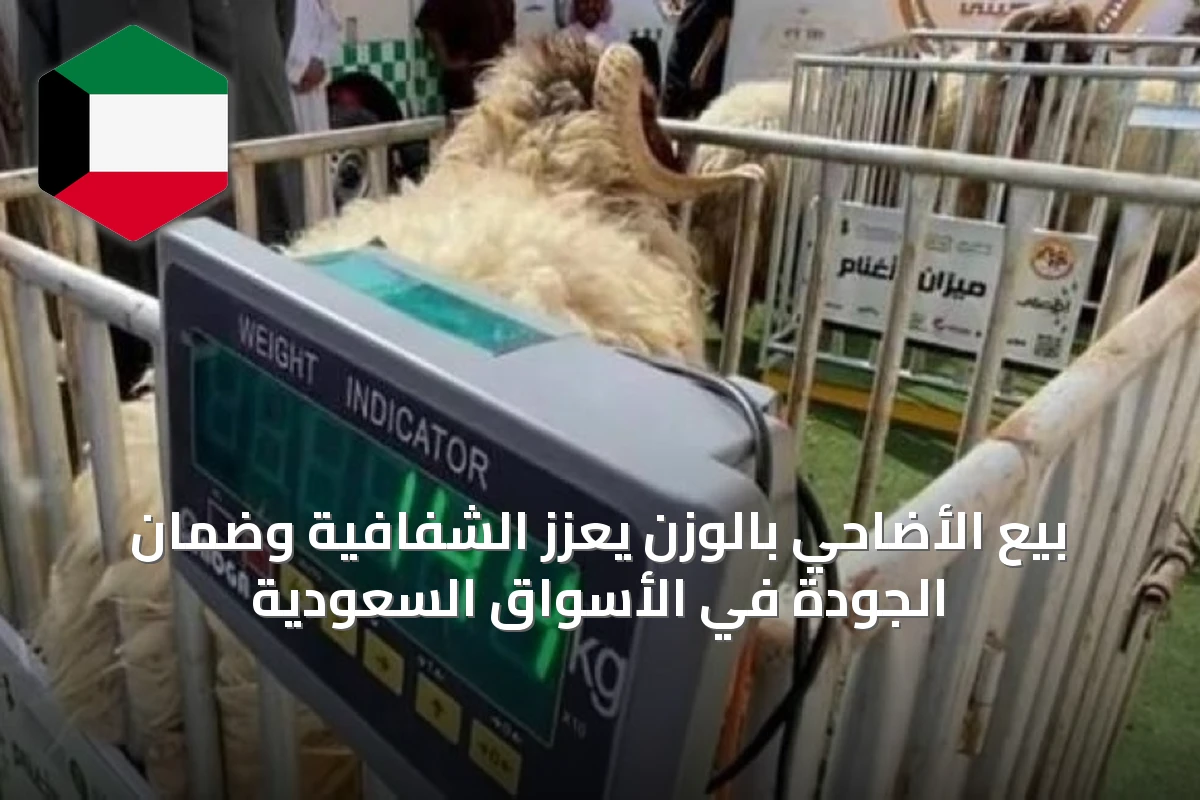بيع الأضاحي بالوزن يعزز الشفافية وضمان الجودة في الأسواق السعودية