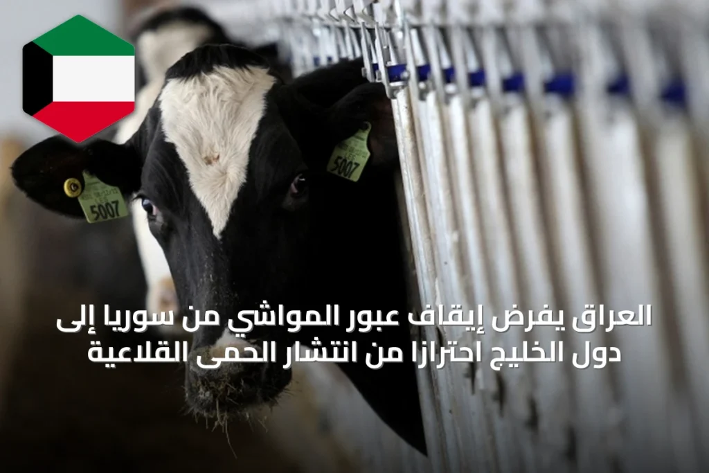 العراق يفرض إيقاف عبور المواشي من سوريا إلى دول الخليج احترازاً من انتشار الحمى القلاعية