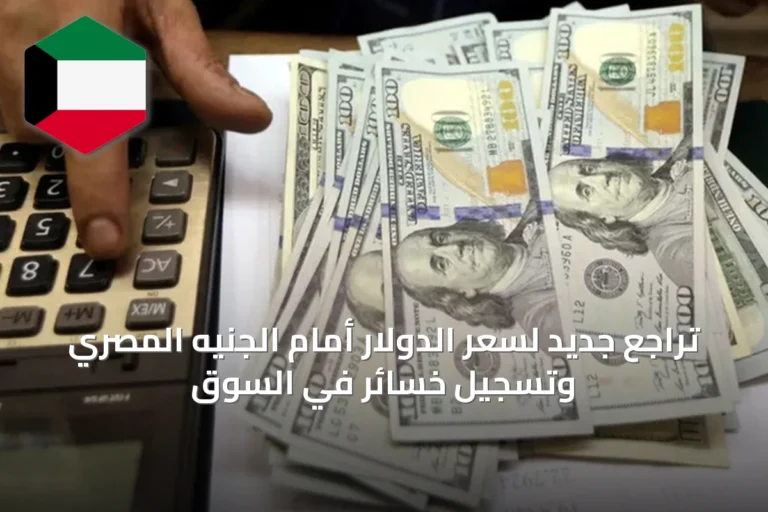 تراجع جديد لسعر الدولار أمام الجنيه المصري وتسجيل خسائر في السوق
