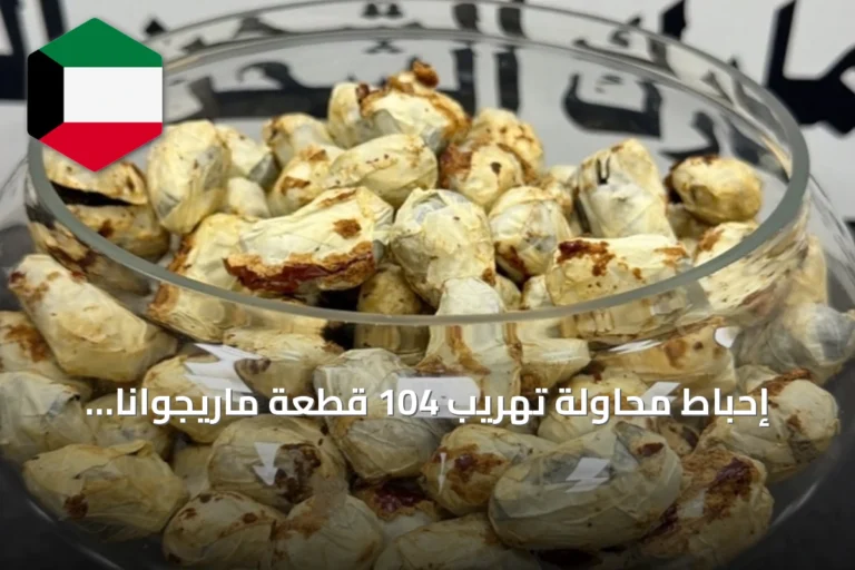 إحباط محاولة تهريب 104 قطعة ماريجوانا مخبأة في طرد بريدي يحتوي على تمر