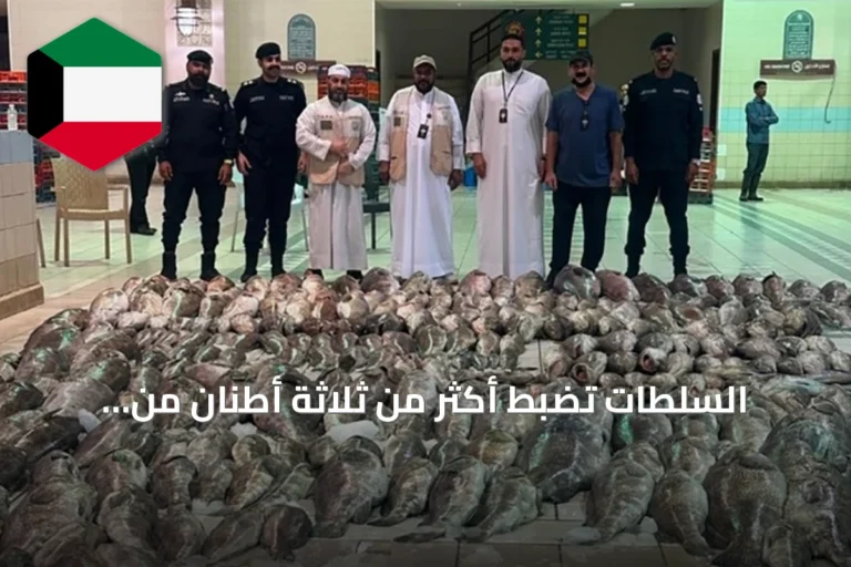 السلطات تضبط أكثر من ثلاثة أطنان من الأسماك الفاسدة في سوق السمك