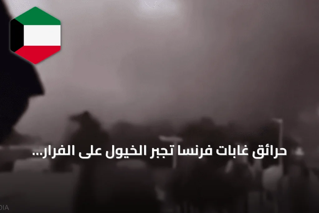 حرائق غابات فرنسا تجبر الخيول على الفرار وعمليات إجلاء واسعة للسكان