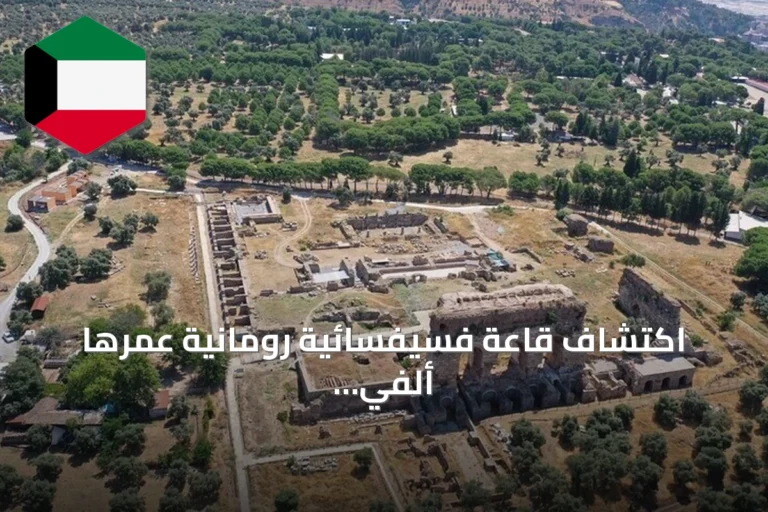 اكتشاف قاعة فسيفسائية رومانية عمرها ألفي عام في تراليس بآيدن