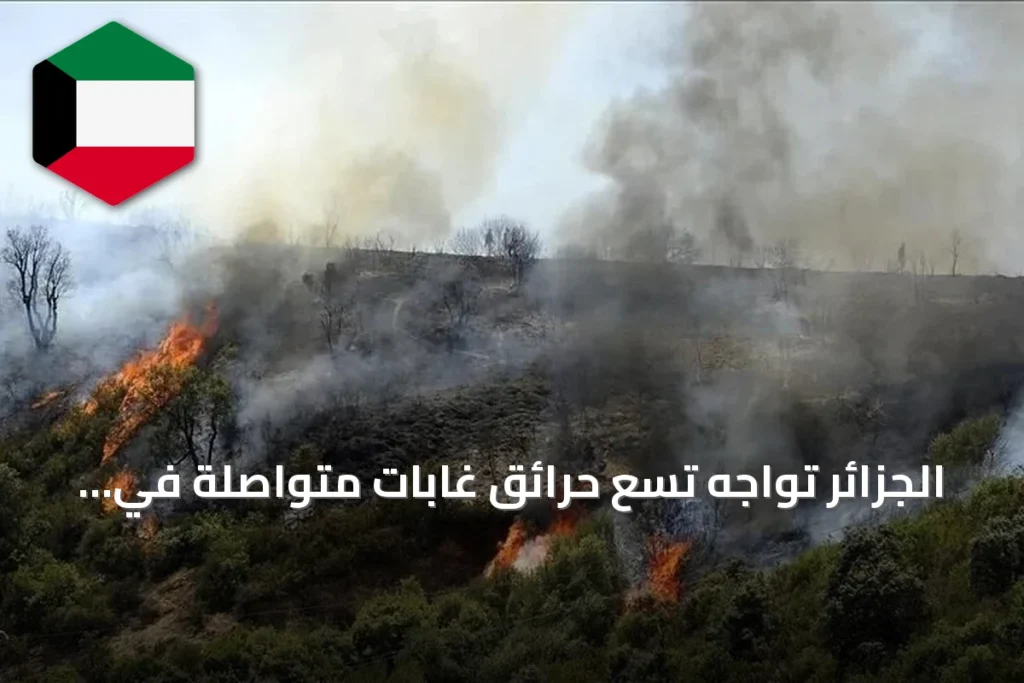 الجزائر تواجه تسع حرائق غابات متواصلة في سبع ولايات