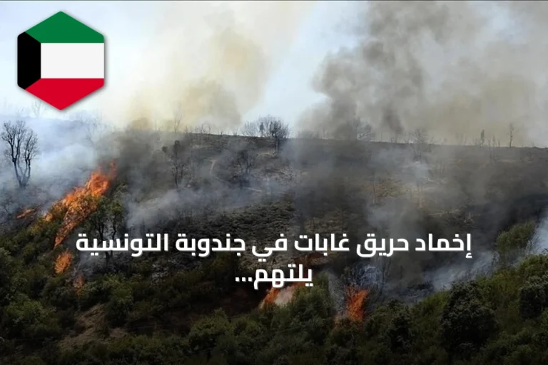 إخماد حريق غابات في جندوبة التونسية يلتهم أكثر من 30 هكتاراً