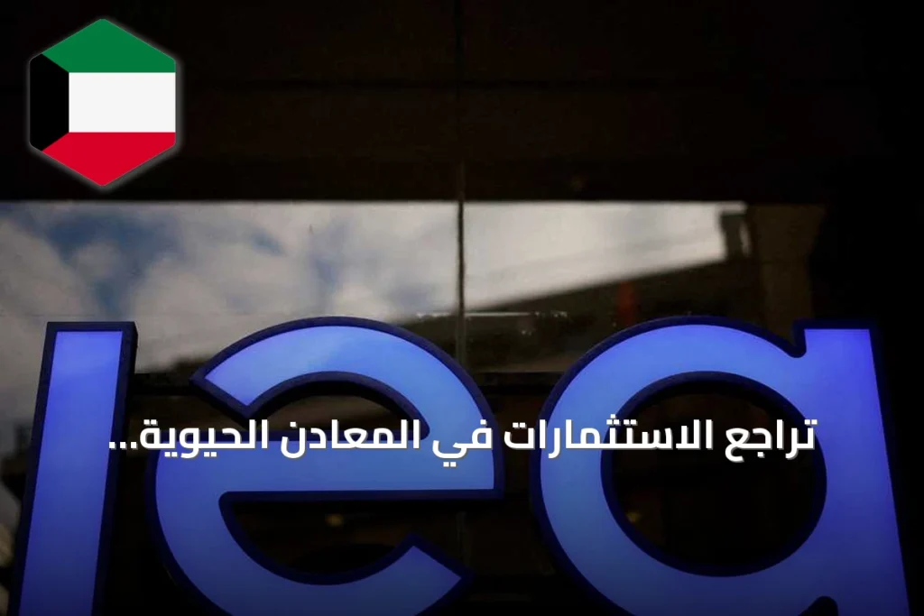 تراجع الاستثمارات في المعادن الحيوية عالمياً خلال عام 2025