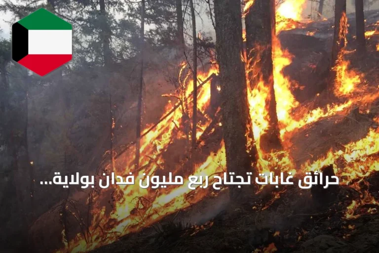 حرائق غابات تجتاح ربع مليون فدان بولاية واشنطن وتجبر الآلاف على الإجلاء