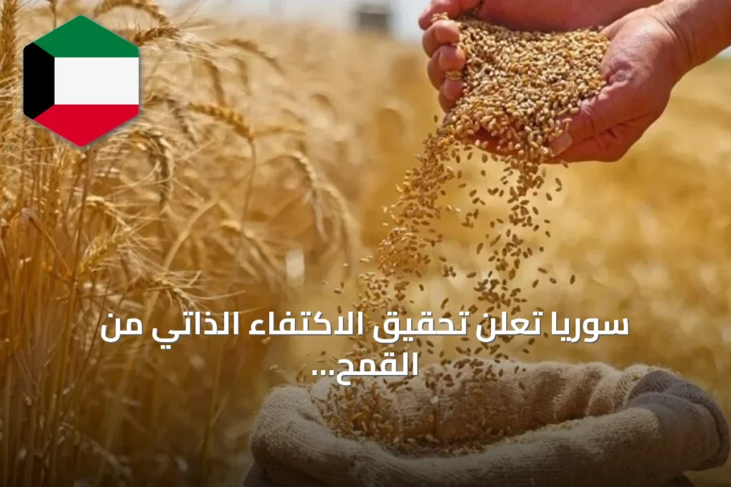 سوريا تعلن تحقيق الاكتفاء الذاتي من القمح عقب ارتفاع الإنتاج وتعزيز التخزين