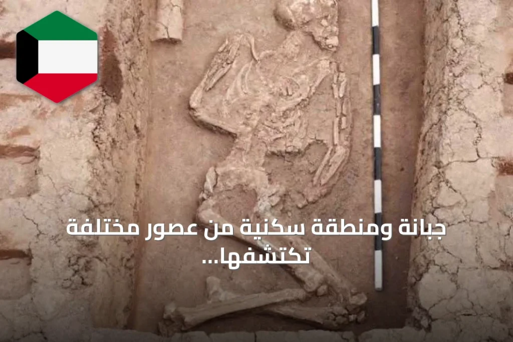 جبانة ومنطقة سكنية من عصور مختلفة تكتشفها البعثة الأثرية في دلتا مصر