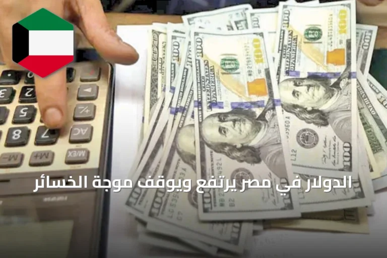 الدولار في مصر يرتفع ويوقف موجة الخسائر