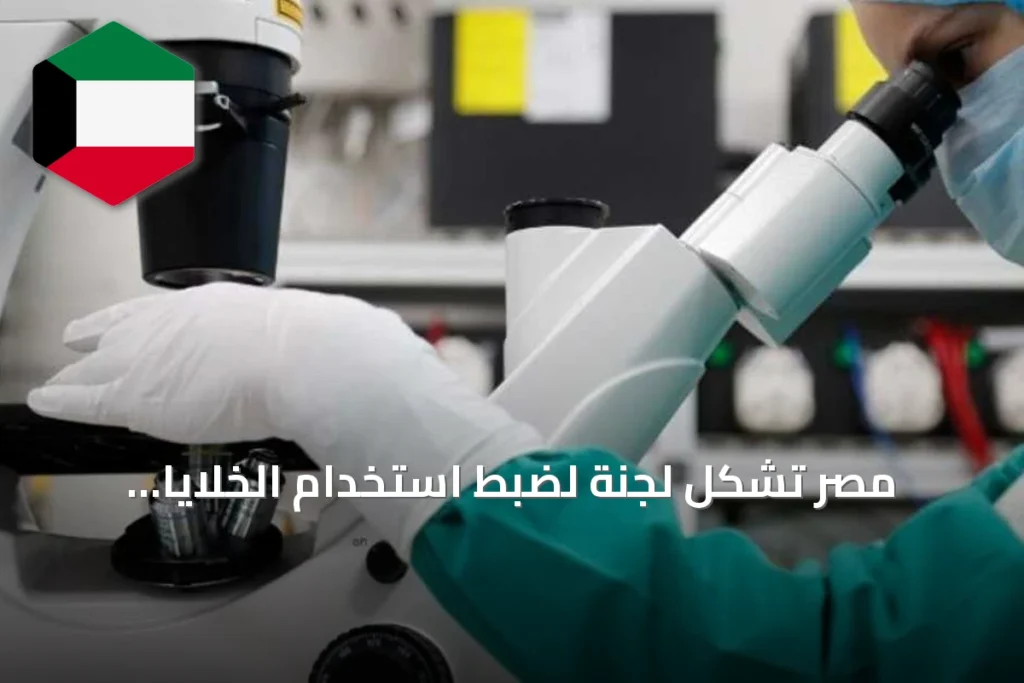 مصر تشكل لجنة لضبط استخدام الخلايا الجذعية وحماية المرضى