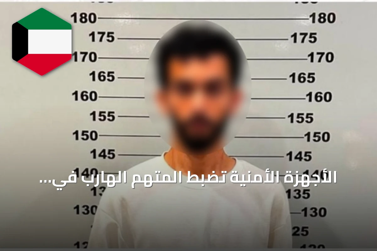 الأجهزة الأمنية تضبط المتهم الهارب في قضية تسهيل خروج غير مشروع من البلاد