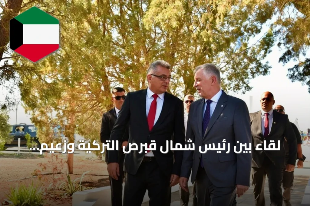 لقاء بين رئيس شمال قبرص التركية وزعيم إدارة جنوب قبرص بالمنطقة العازلة