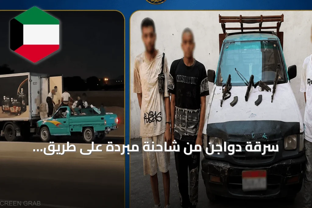 سرقة دواجن من شاحنة مبردة على طريق مصر-الإسماعيلية تكشف عن تشكيل عصابي