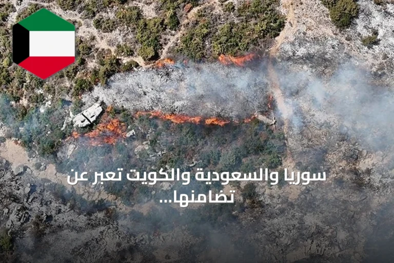 سوريا والسعودية والكويت تعبر عن تضامنها مع الجزائر بعد حرائق الغابات