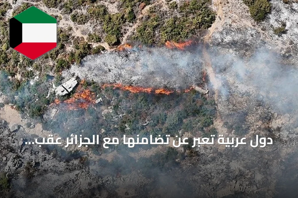 دول عربية تعبر عن تضامنها مع الجزائر عقب حرائق غابات شمال شرقي البلاد