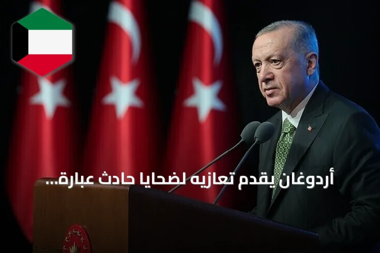 أردوغان يقدم تعازيه لضحايا حادث عبارة شمال قبرص ويؤكد دعم تركيا لعمليات الإنقاذ