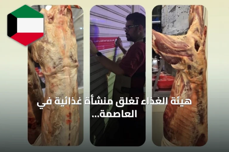 هيئة الغذاء تغلق منشأة غذائية في العاصمة وتضبط لحوماً مجمدة مذابة تباع كطازجة