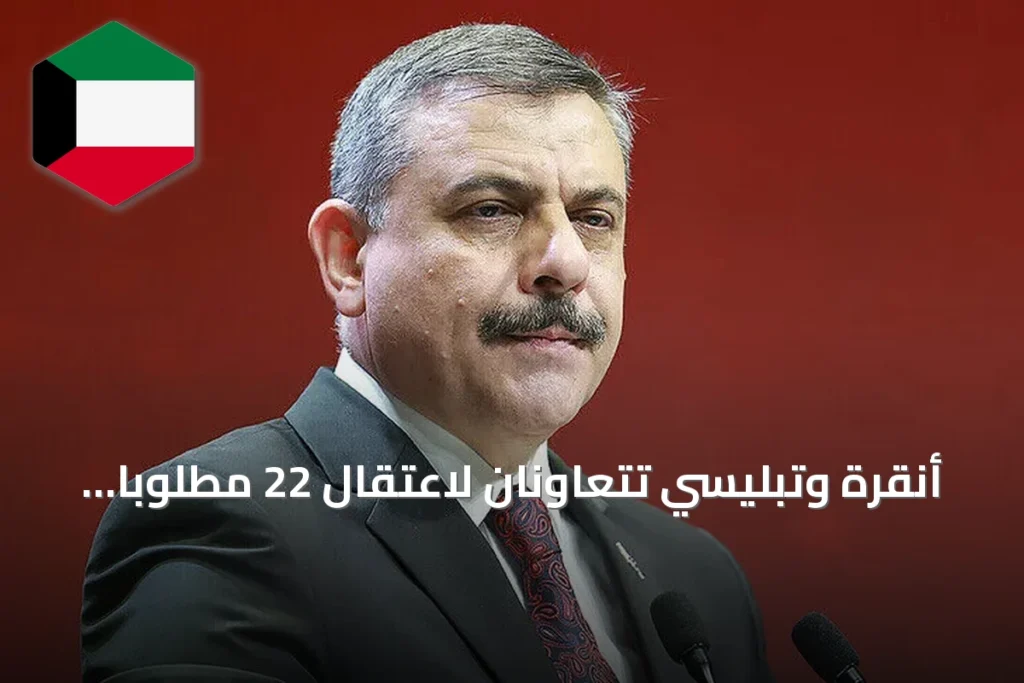 أنقرة وتبليسي تتعاونان لاعتقال 22 مطلوباً وإعادة 11 منهم إلى تركيا