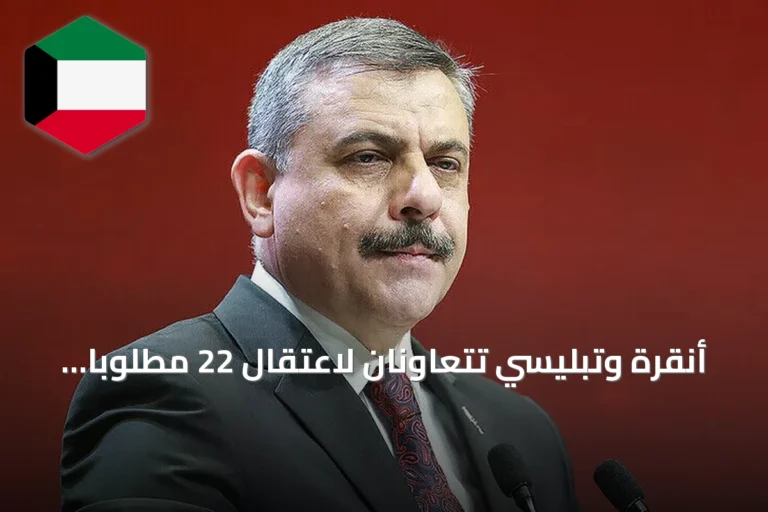 أنقرة وتبليسي تتعاونان لاعتقال 22 مطلوباً وإعادة 11 منهم إلى تركيا