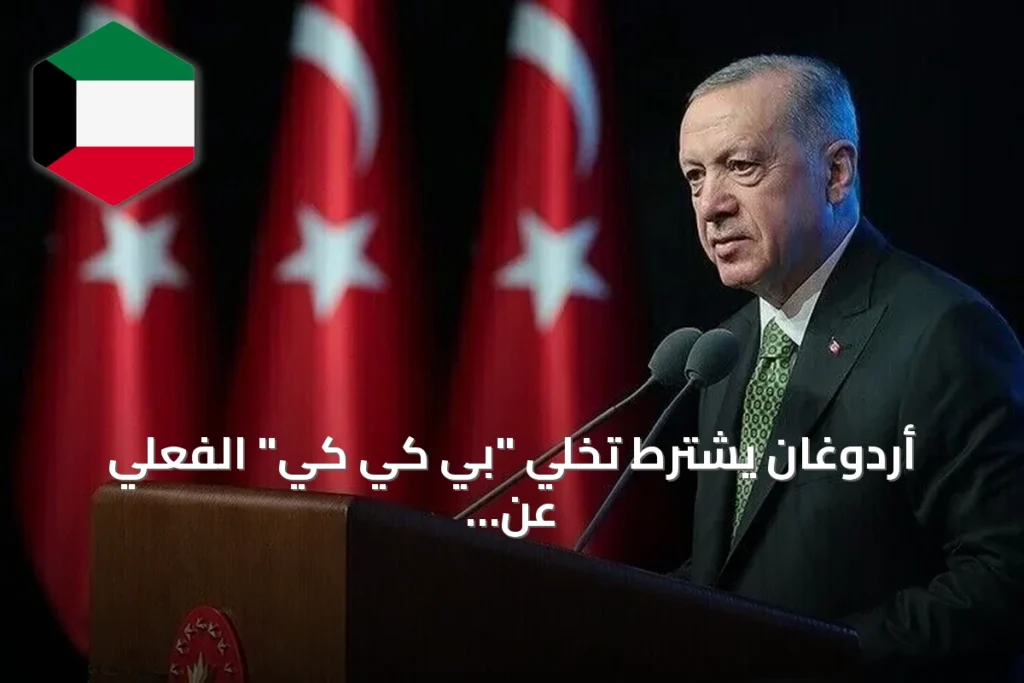 أردوغان يشترط تخلي “بي كي كي” الفعلي عن السلاح لتفعيل مسار “تركيا بلا إرهاب”