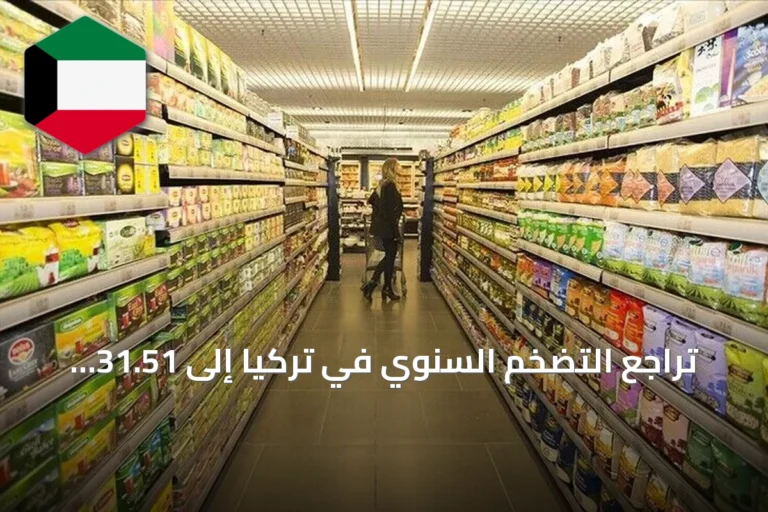 تراجع التضخم السنوي في تركيا إلى 31.51 بالمئة خلال أغسطس