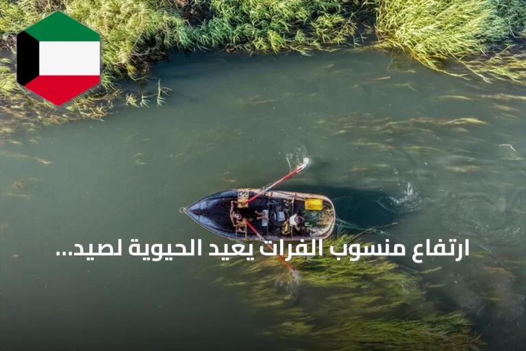 ارتفاع منسوب الفرات يعيد الحيوية لصيد الأسماك وسوقها في الرقة