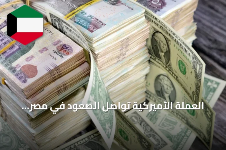 العملة الأميركية تواصل الصعود في مصر وتلامس حاجز الـ51 جنيهاً في بنوك عدة
