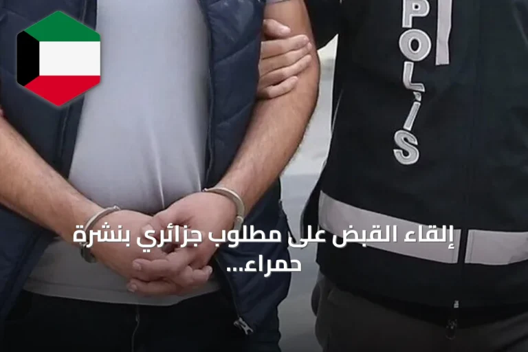إلقاء القبض على مطلوب جزائري بنشرة حمراء في إسطنبول