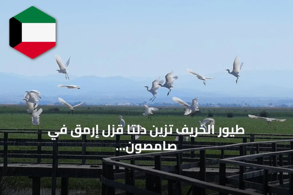 طيور الخريف تزين دلتا قزل إرمق في صامصون وتؤكد غنى المنطقة بالحياة البرية