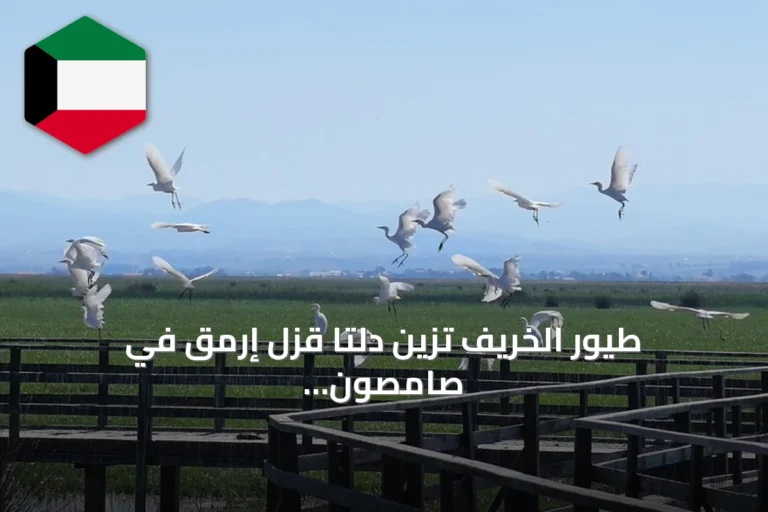 طيور الخريف تزين دلتا قزل إرمق في صامصون وتؤكد غنى المنطقة بالحياة البرية