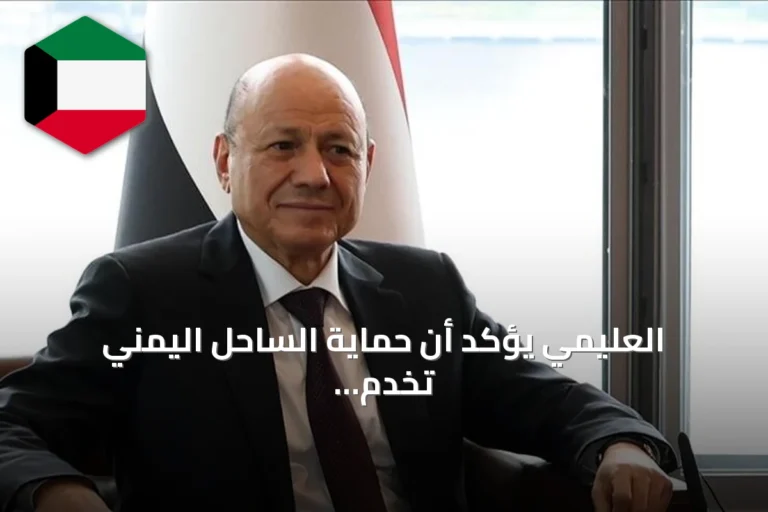 العليمي يؤكد أن حماية الساحل اليمني تخدم مصالح مصرية وعربية ودولية