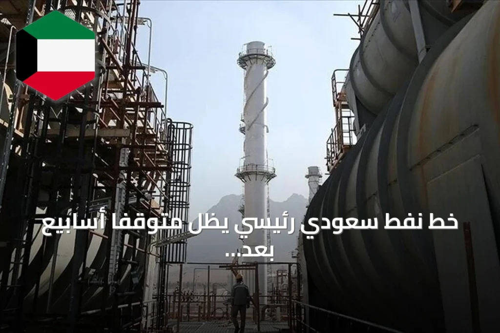 خط نفط سعودي رئيسي يظل متوقفاً أسابيع بعد هجوم بمسيرات عراقية